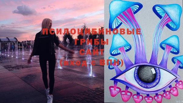 ешки Зеленокумск