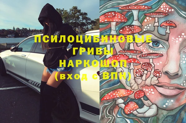 ешки Зеленокумск