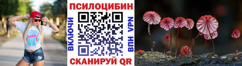 Купить закладки  Мышкин  Галлюциногенные грибы мухоморы 